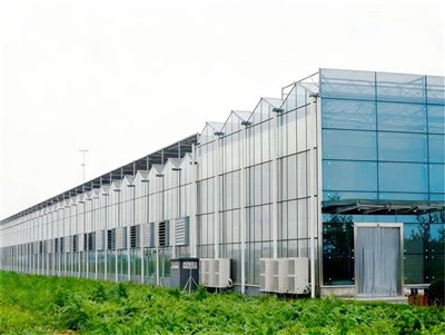 Rumah Hijau Struktur Keluli